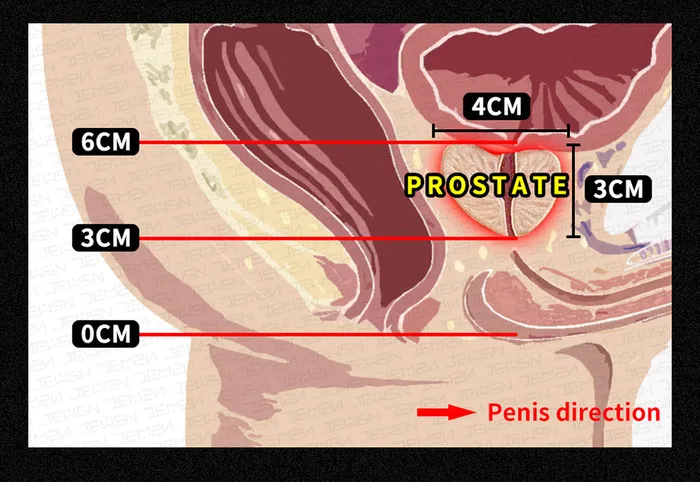 Own Pleasures Male Prostate Massager Anal Dildo Butt Plug Anal