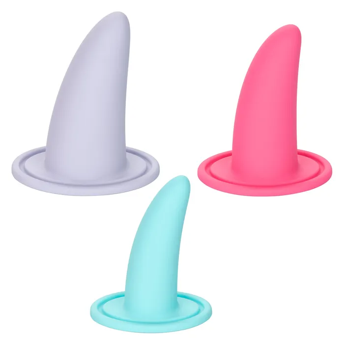 Calexotics SheOlogy ADVANCED 3 Piece Wearable Vaginal Dilator Set CalExotics Male Sex Toys