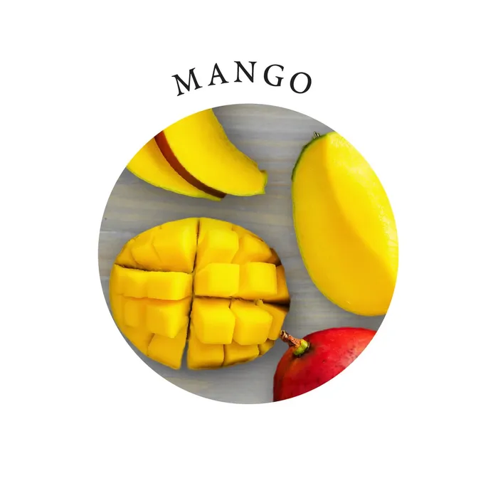 Earthly Body Couples Earthly Body Edible Massage Oil Mango 8oz236ml Earthly Body Couples Earthly Body Edible Massage Oil Mango 8oz236ml