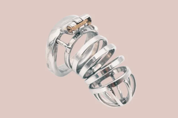 House Of Chastity Bird Cage Horizontal Standard Metal Chastity Cage Male Sex Toys
