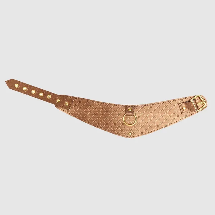 Look At Me Posture Collar Allure Lingerie Vibrators