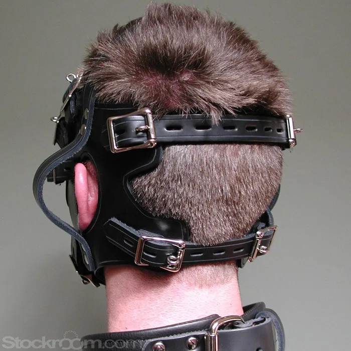 The Inescapable Head Handler Harness The Stockroom Female Sex Toys